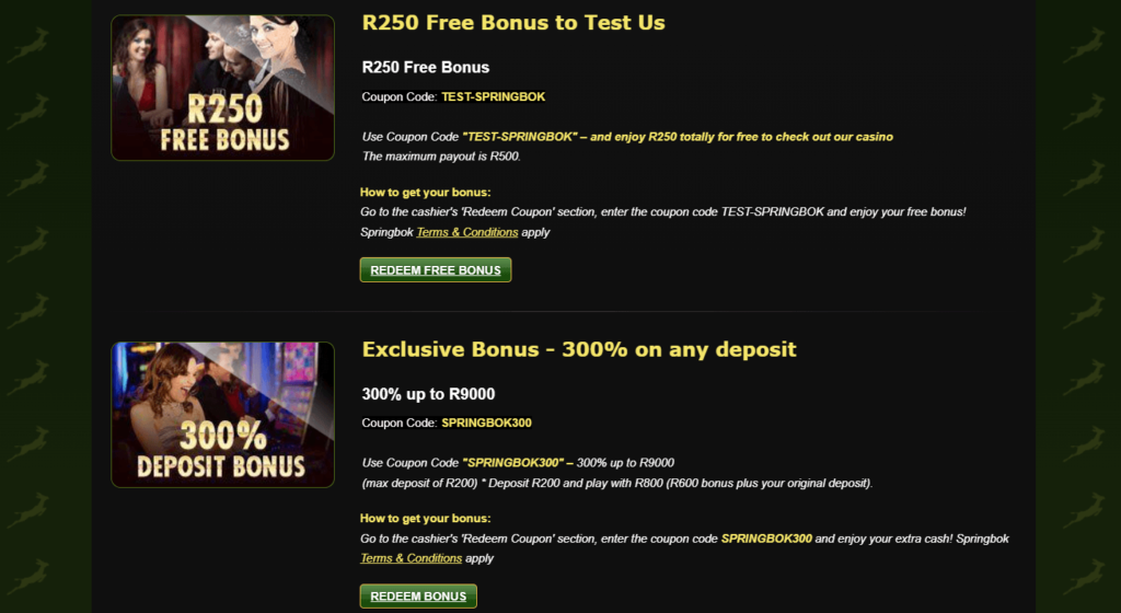 Springbok Casino Promotions