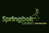 Springbok Casino South Africa review