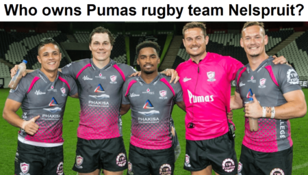 Who is the owner of Pumas rugby team Nelspruit?