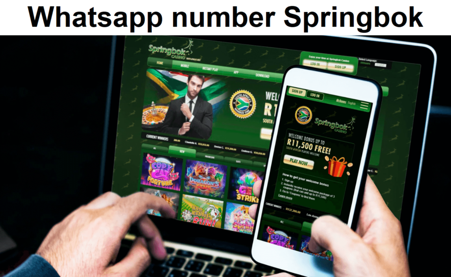 Springbok Whatsapp number