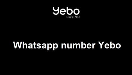 Yebo Whatsapp number