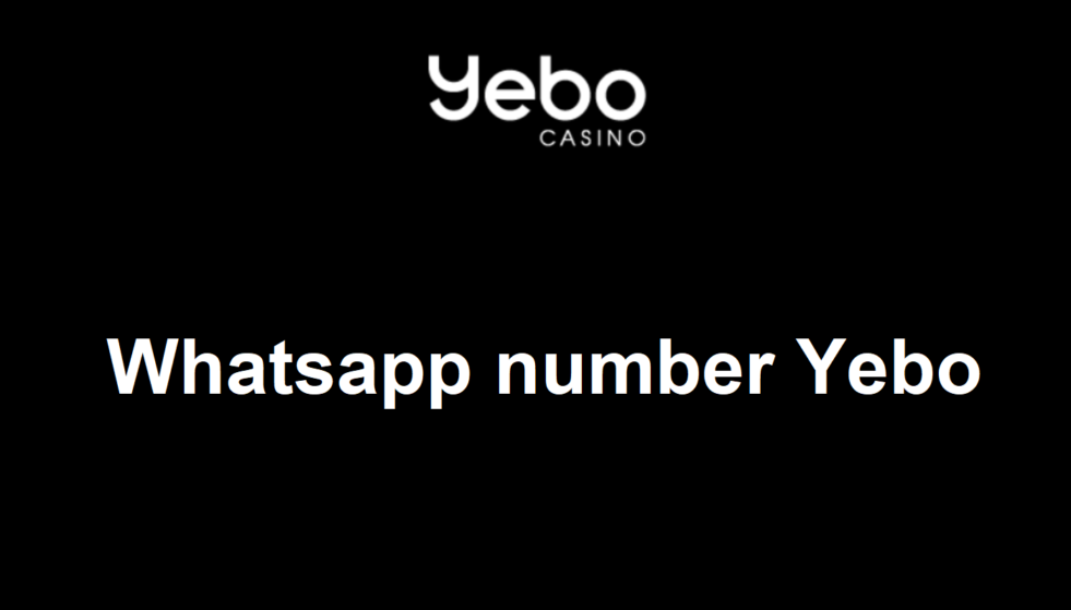 Yebo Whatsapp number