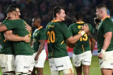 Springboks Set to Receive Financial Boost from Potential American Investors in SA Rugby