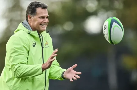 Confirmed: When the Springboks Will Reveal Their Team for the First Ireland Test