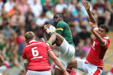 Springbok ‘Comeback Kid’ Fassi Continues to Grow Stronger