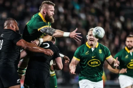 Springbok Powerhouse Set to Make Comeback