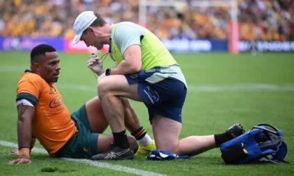 Springboks Leave Wallabies Battered and Bruised!