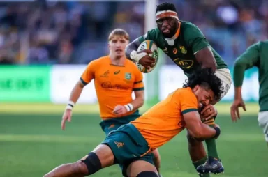 Wallabies Coach Suggests Springboks Are ‘Lucky’