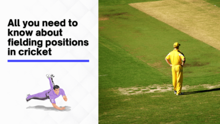 All you need to know about fielding positions in cricket