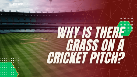 Why is there grass on a cricket pitch?