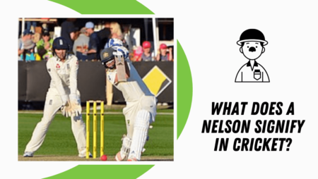 What does a Nelson signify in the sport of cricket?
