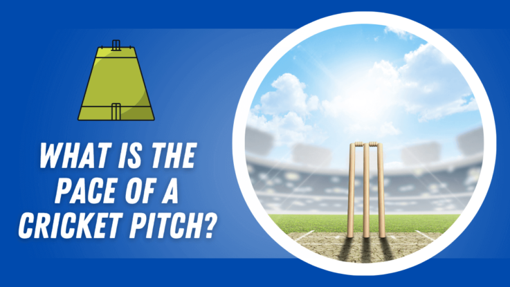 What is the pace of a cricket pitch?
