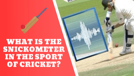 What is the snickometer in the sport of cricket?