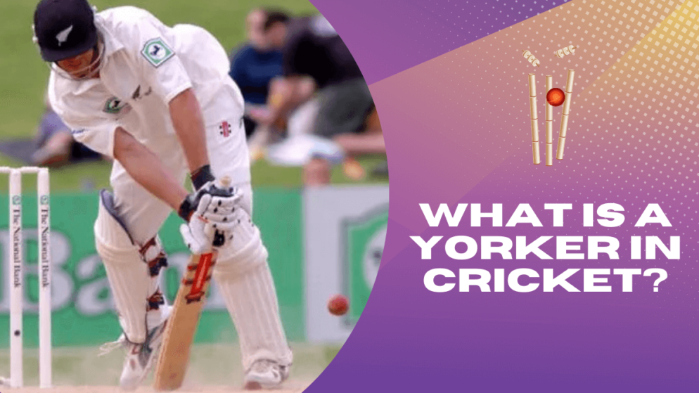 What is a yorker in the sport of cricket?