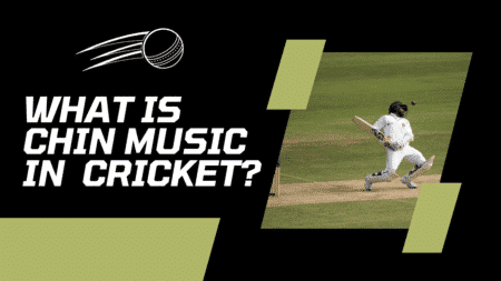 What is chin music in the sport of cricket?