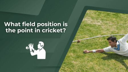 What field position is the point in cricket?