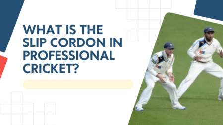 What is the slip cordon in professional cricket?