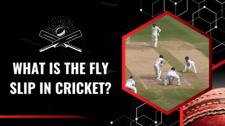 What is the fly slip in the sport of cricket?