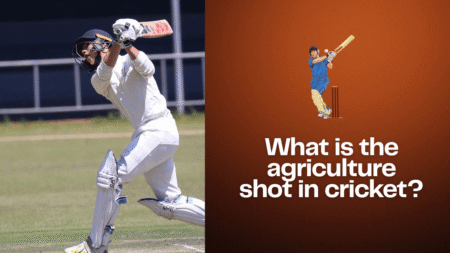 What is the agriculture shot in cricket?