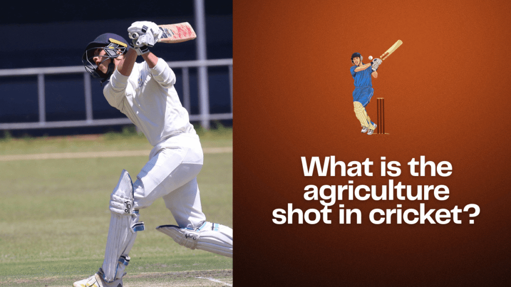 What is the agriculture shot in cricket?