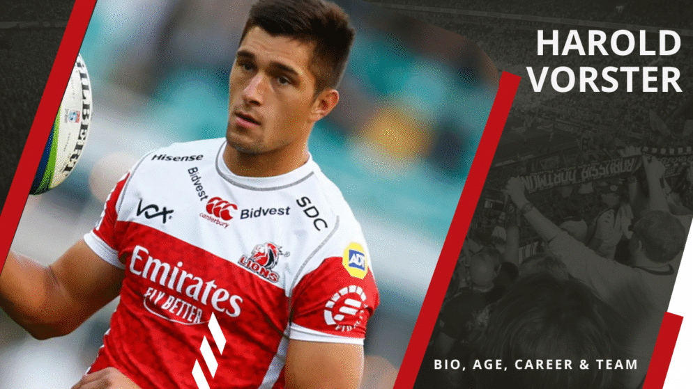 Who is Harold Vorster? Bio, Age, Career & Team