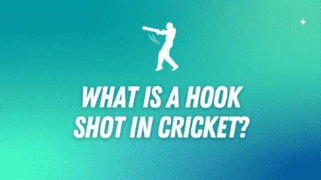 What is a hook shot in the sport of cricket?
