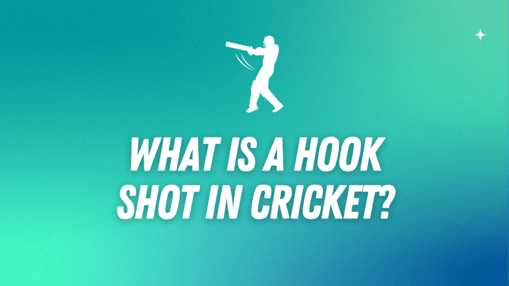 What is a hook shot in the sport of cricket?