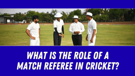 What is the role of a match referee in cricket?