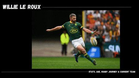 Meet Willie Le Roux: Stats, Age, Rugby Journey & Current Team