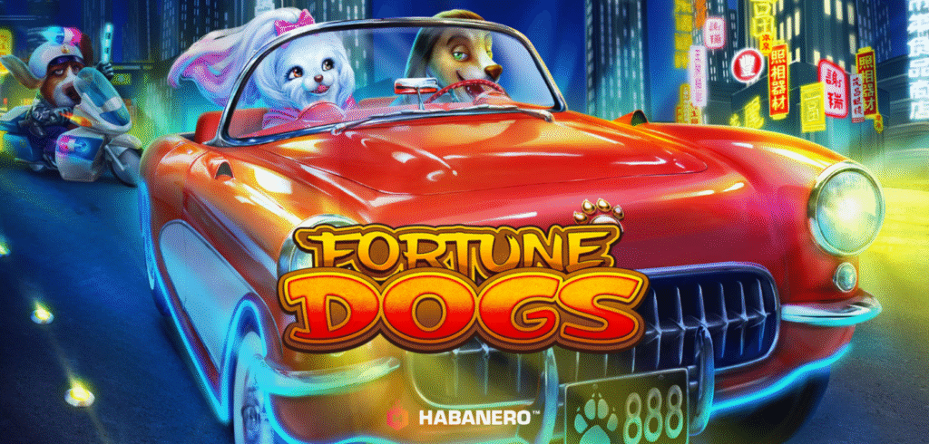 Fortune Dogs